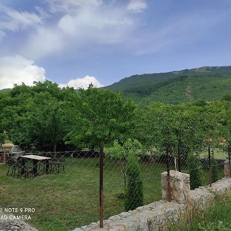 Villa Aleks Ohrid Exterior foto