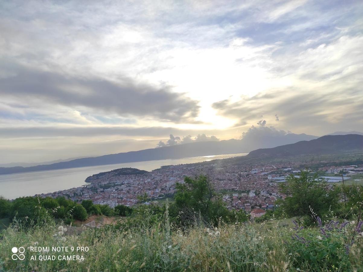 Villa Aleks Ohrid Exterior foto